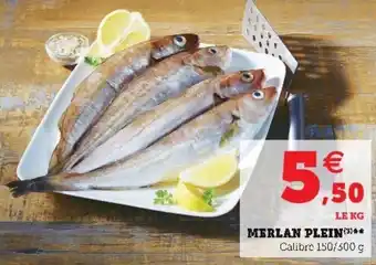 Super U Merlan plein offre