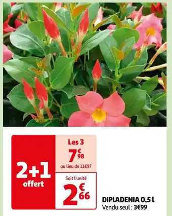 Auchan Supermarché DIPlADENIA 0,5 l offre