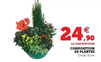 Super U Composition de plantes offre
