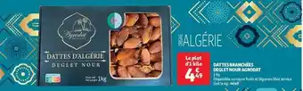 Dattes branchées deglet nour agrodat