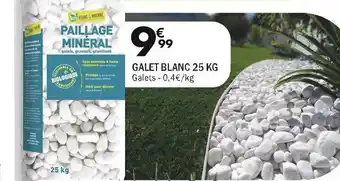La Foir'Fouille GALET BLANC 25 KG offre