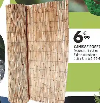 La Foir'Fouille CANISSE ROSEAU Roseau 1x3m offre