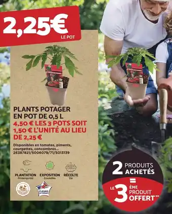 Bricomarché PLANTS POTAGER EN POT DE 0,5 L offre