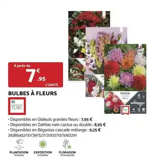 Bricomarché BULBES À FLEURS offre