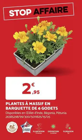 Bricomarché PLANTES À MASSIF EN BARQUETTE DE 6 GODETS offre