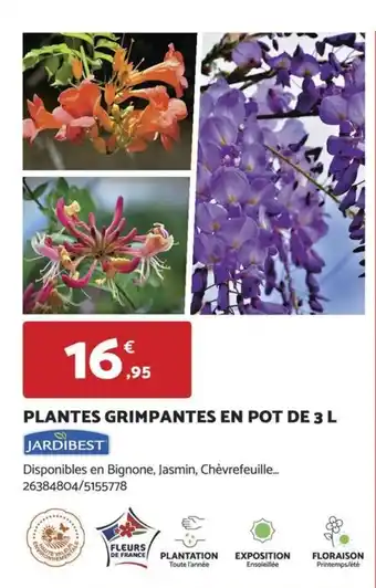 Bricomarché PLANTES GRIMPANTES EN POT DE 3 L offre
