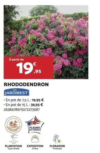 Bricomarché RHODODENDRON offre