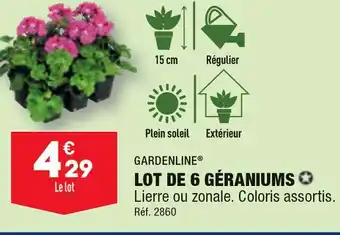 ALDI GARDENLINE LOT DE GÉRANIUM offre