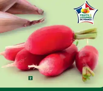 ALDI RADIS offre