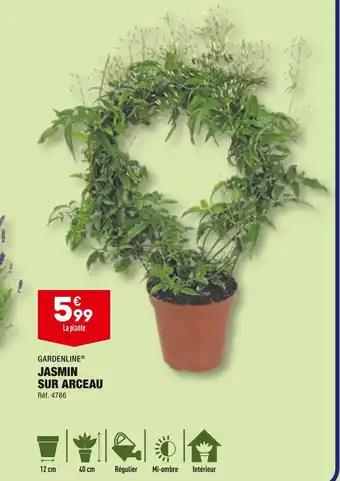 ALDI GARDENLINE JASMIN SUR ARCEAU offre