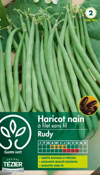 Gamm vert Graines de haricots Rudy Gamm vert offre