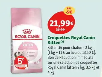 Maxi Zoo Royal Canin Croquettes Kitten offre