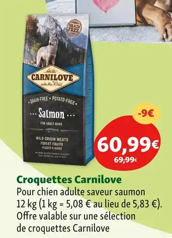 Maxi Zoo Carnilove Croquettes offre