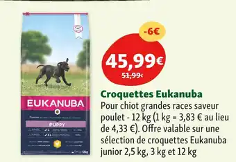 Maxi Zoo Eukanuba Croquettes offre