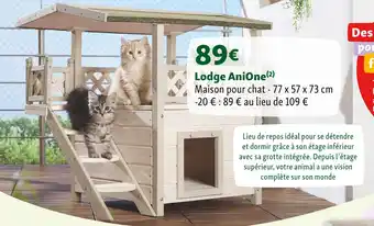 Maxi Zoo AniOne Lodge AniOne offre