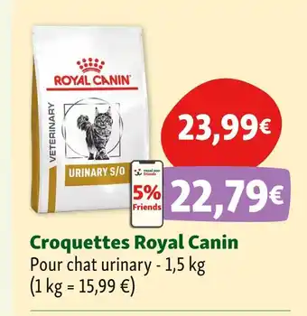 Maxi Zoo Royal Canin Croquettes offre