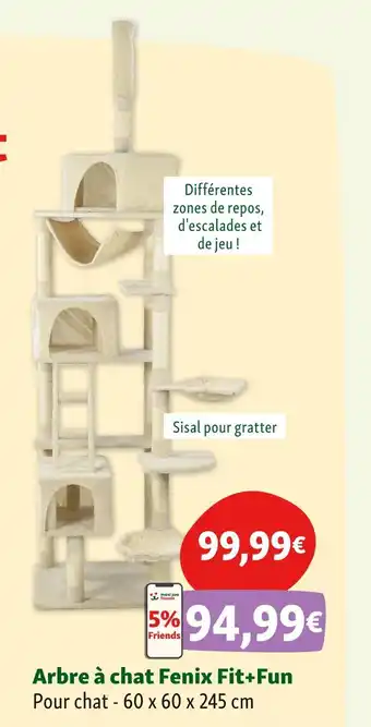 Maxi Zoo Arbre à chat Fenix Fit+Fun offre