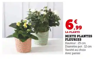 Hyper U MIXTE PLANTES FLEURIES offre