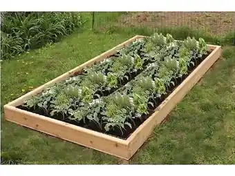Brico Cash Carré potager en bois Botaga - 240 x 120 cm offre
