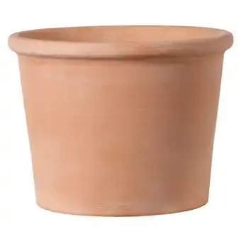 Auchan Pot En Terre Cuite offre