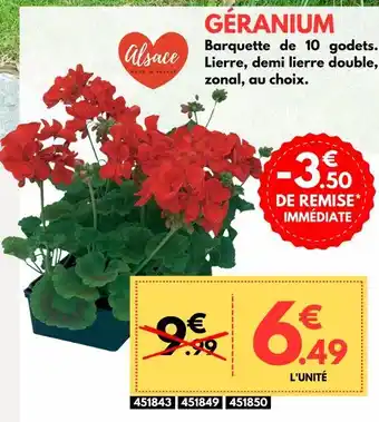 Trèfle Vert GÉRANIUM offre