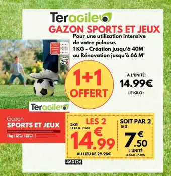 Teragile GAZON SPORTS ET JEUX