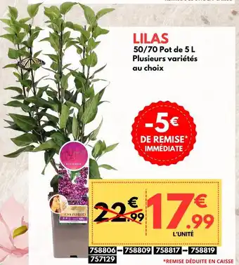 LILAS