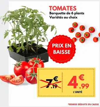 TOMATES