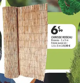 La Foir'Fouille CANISSE ROSEAU offre