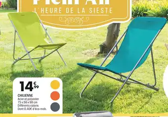 La Foir'Fouille CHILIENNE offre