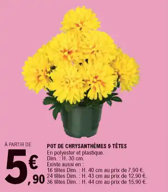 E.Leclerc Pot de Chrysanthèmes 9 Têtes offre