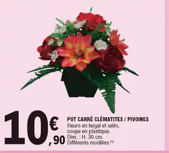 E.Leclerc Pot Carré Clématites/Pivoines offre