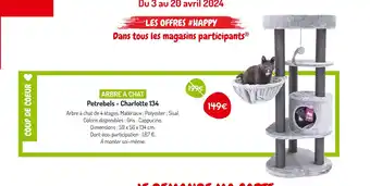 Médor et Compagnie Petrebels - Charlotte 134 ARBRE À CHAT offre