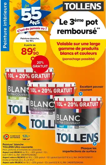 Castorama TOLLENS Peinture* blanche Ultra couvrante offre