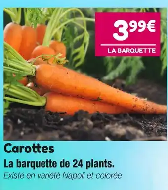 Point Vert Carottes offre