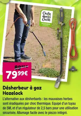 Point Vert Hozelock Désherbeur à gaz offre