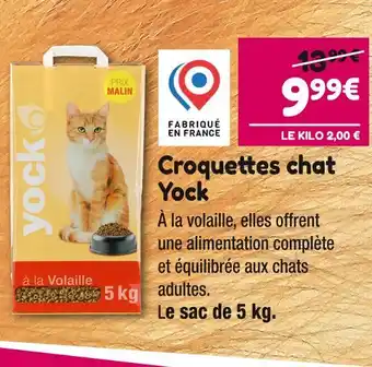 Point Vert Yock Croquettes chat offre