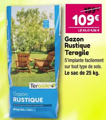 Point Vert Teragile Gazon Rustique offre