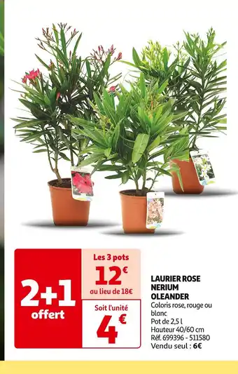 Auchan LAURIER ROSE NERIUM OLEANDER offre