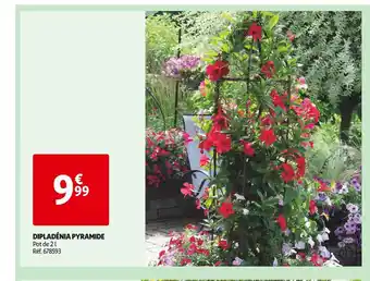 Auchan DIPLADÉNIA PYRAMIDE offre
