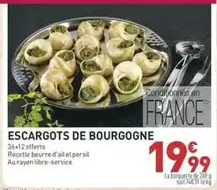 Weldom Axton - colle pour revetement mural offre