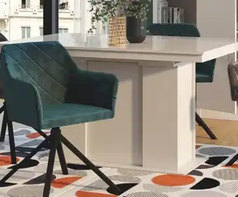 Conforama Chaise DIAMOND offre