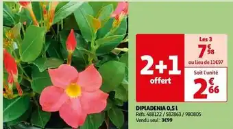 Auchan Dipladenia 0,5l offre