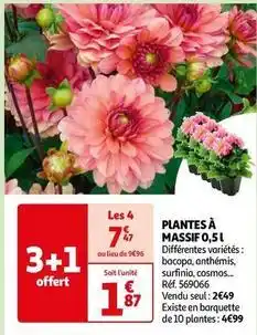 Auchan Plantes à massif 0,5l offre