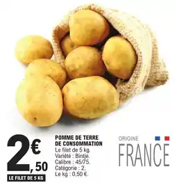 Auchan Gardenstar - pot plastique carré haut offre