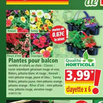 Plantes pour balcon