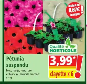 Norma Pétunia suspendu offre