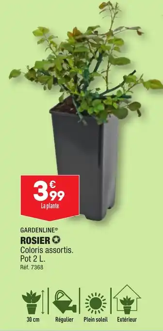 ALDI GARDENLINE® ROSIER✪ offre
