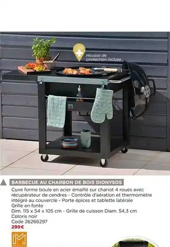 Bricomarché Barbecue Au Charbon De Bois Dionysos offre