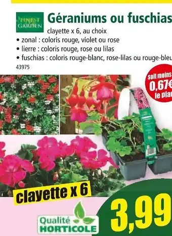 Norma FINEST GARDEN Géraniums ou fuschias offre